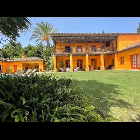 La Dulcinea Bed and Breakfast Sotogrande Eksteriør billede